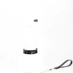 Fraulein Kink Rica Belt 2