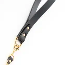 Fraulein Kink Rica Belt 5