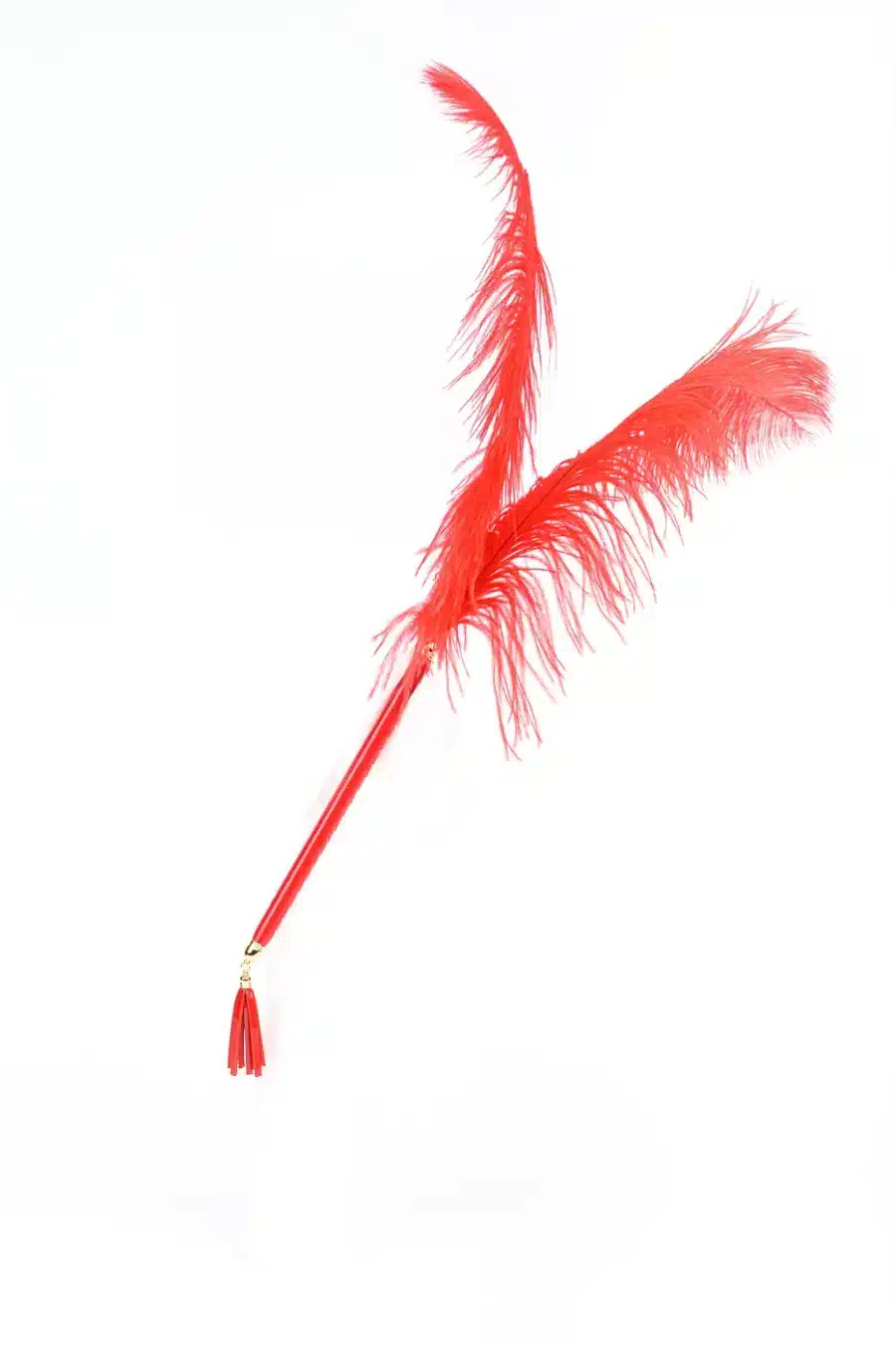 Fraulein Kink Roja Feathers Teaser 4
