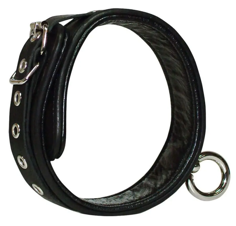 Wild Thing By Zado Bondage Collar 2