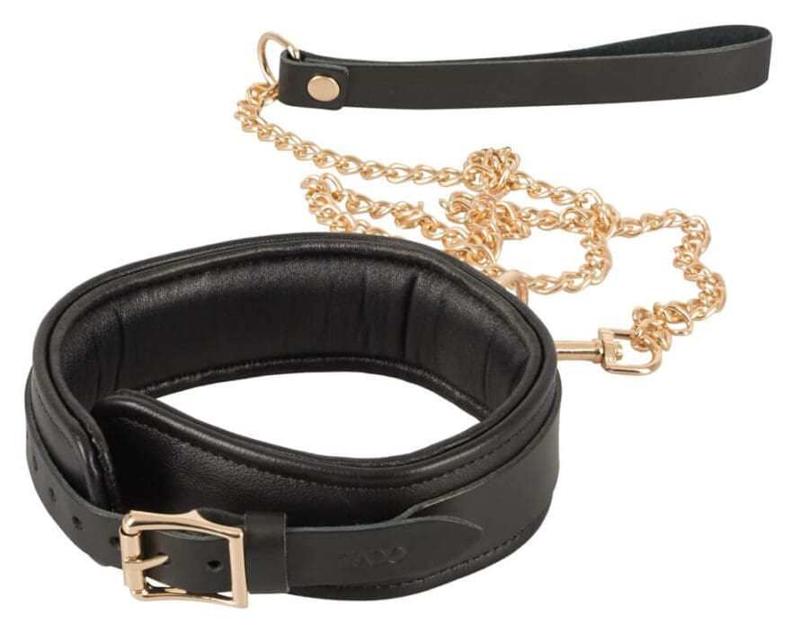 Wild Thing By Zado Leather Collar And Belt