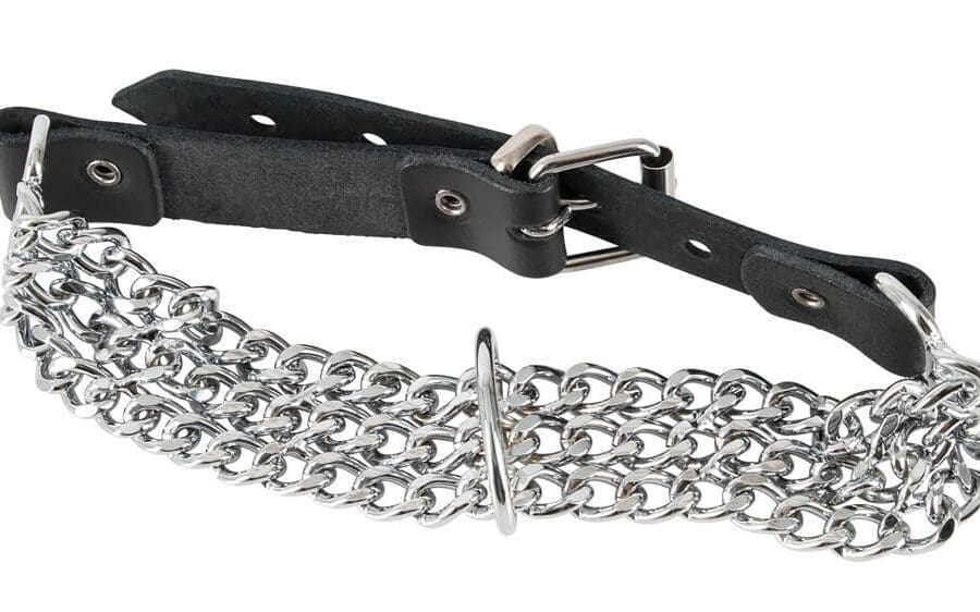 Zado Chain Collar 2