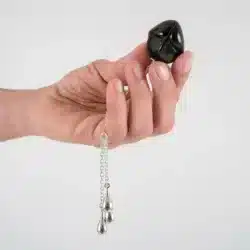 Sylvie Monthule Anal Jewelry Gloss Jewel Silver 2