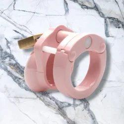 CBX - Mini Me Cushion Cage Pink | 35mm - Image 3