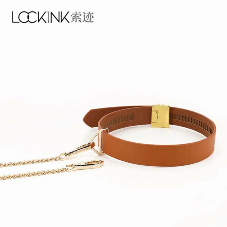 Lockink Collar With Leash Brown