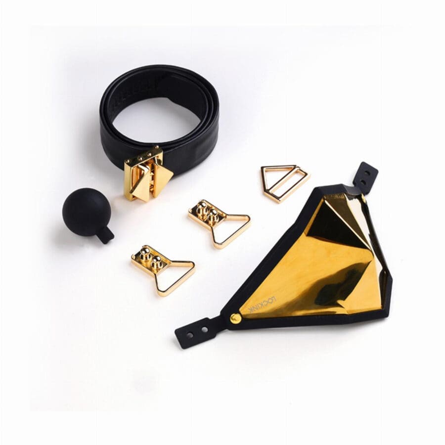 Lockink Punker Muzzle Ballgag Gold 5