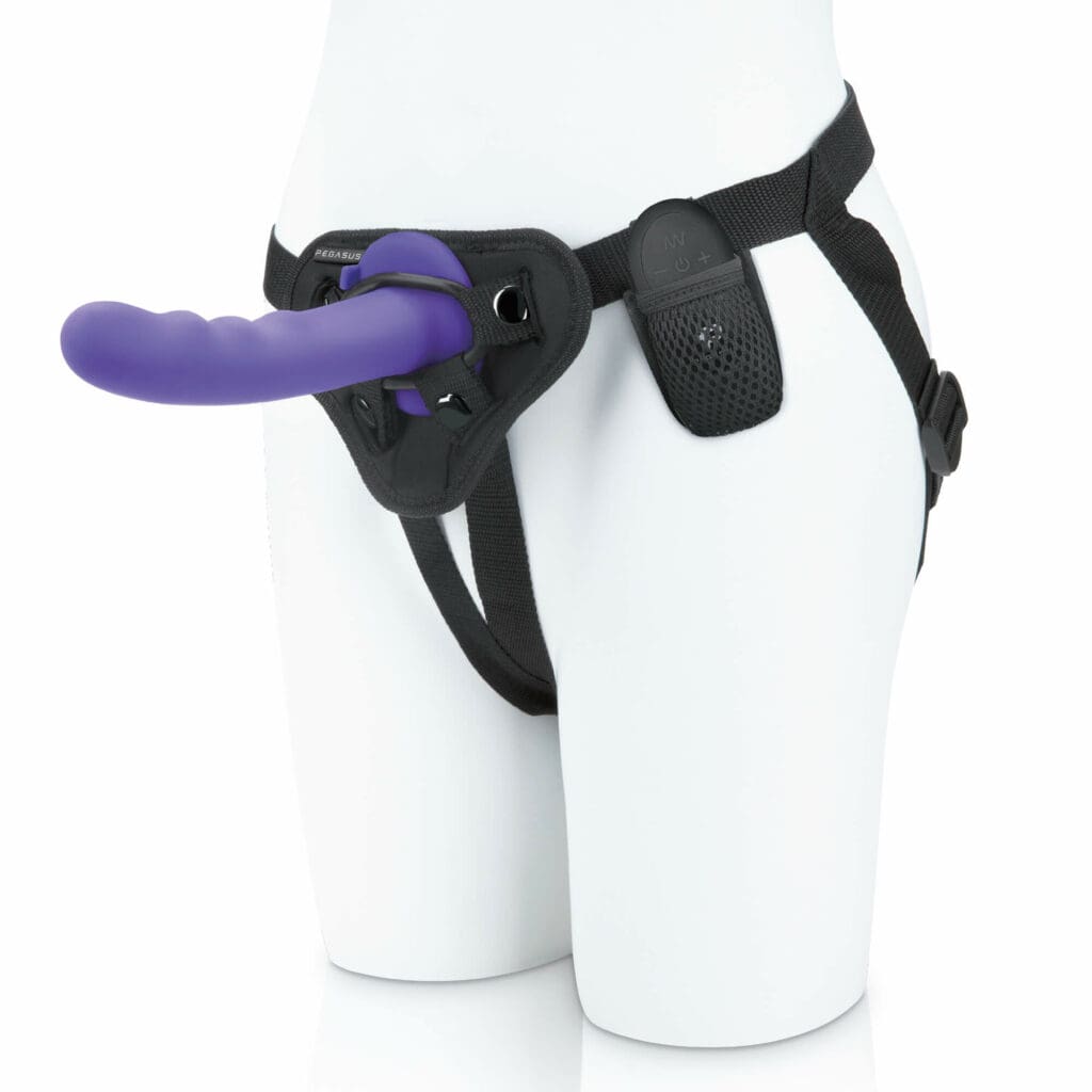 Pegasus Curved Peg With Harness Purple 153 cm 2