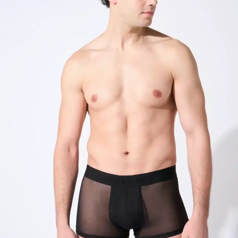 ME72_Sheer_boxer_Adam1_1